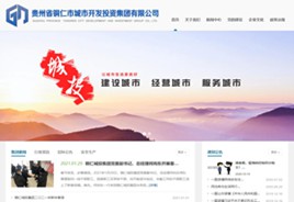 普宁城市开发投资集团有限公司